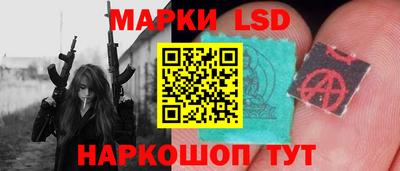 гидропоника Дубна