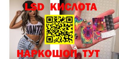 гидропоника Дубна