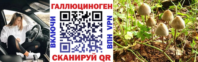 hydra онион  купить закладку  Мценск  Псилоцибиновые грибы Psilocybine cubensis 
