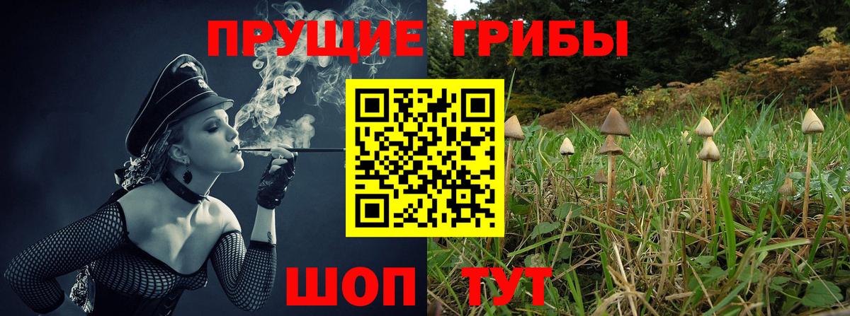 Псилоцибиновые грибы Psilocybine cubensis Мценск