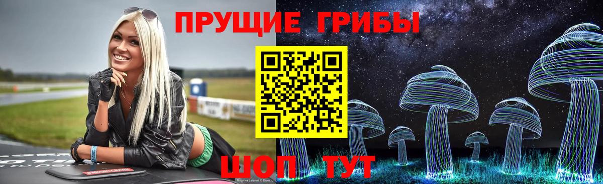 Псилоцибиновые грибы GOLDEN TEACHER  Мценск 