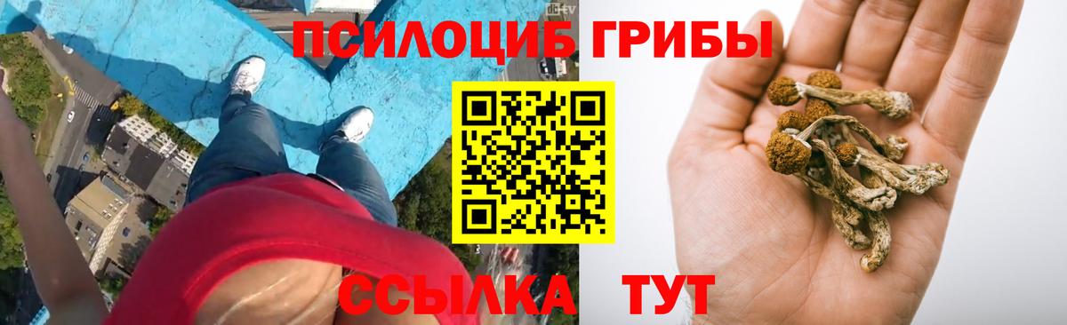 Мценск  Галлюциногенные грибы прущие грибы  Галлюциногенные грибы ЛСД  Вход с VPN 